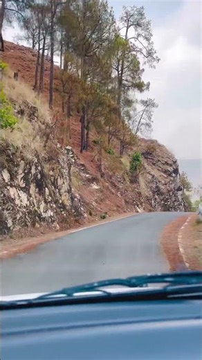 Living the Life I Dreamed Of #shorts #nanital #Chinkipinki