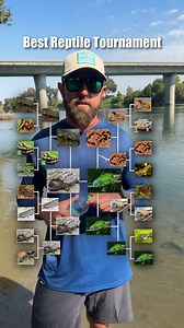 What is the coolest reptile on Earth? | Forrest Galante