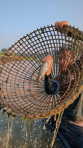 Natural Follow Fishing Skills of Village Fishermen | SM Fishing