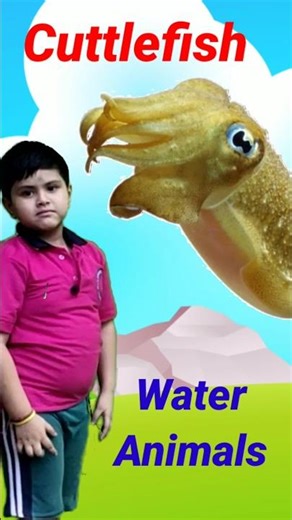 Funny Water Animals Name 🐠🐟 | Cute Fish Name in English | Funny Boy | #shorts #shortsvideo #fish ||