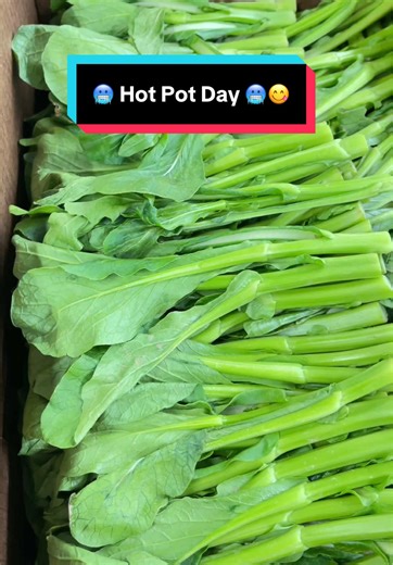 Extreme Cold 🥶 HOT POT Time 🫠😋 #viral #hotpot #fresh