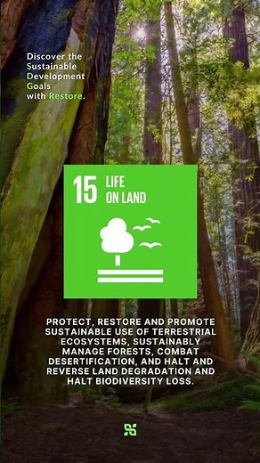 #SDG 15: Protect Life on Land