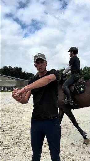 How to build up your horse's back muscles? 🧐