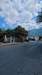 4.1K views · 205 reactions | Anacahuita Mexican Olive Cordia boissieri en Monterrey N.L México . Del Desierto al bosque en un momento . Pioneros en Producción de Especies Nativas y naturalizadas del Norte y altiplano mexicano #arboles #treenursery #arquitecturadelpaisaje | VIVEROS REGIONALES | Facebook