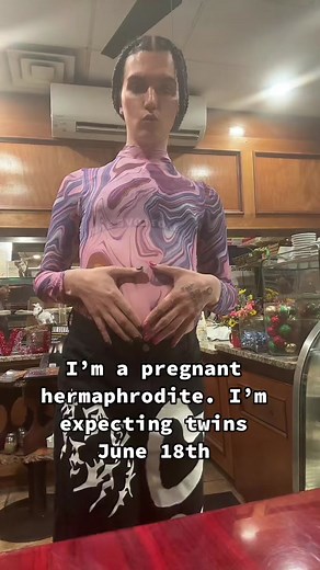 Pregnant Hermaphrodite Expecting Twins | June 18th