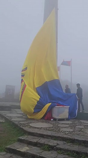 wilintonantonioto on TikTok