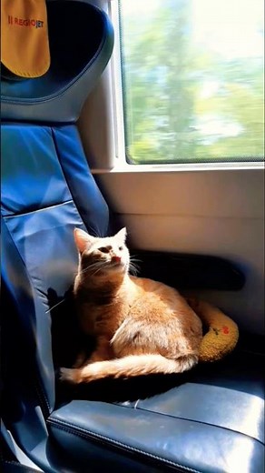 7 hour train journey from Budapest to Prague 🚆 🥱