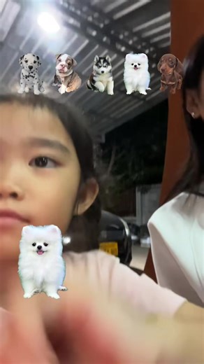 ❤️pheng sidala🥰 (@pheng.sidala5)’s videos with เสียงต้นฉบับ - พาย คอนเฟลก🍭(5.5M)