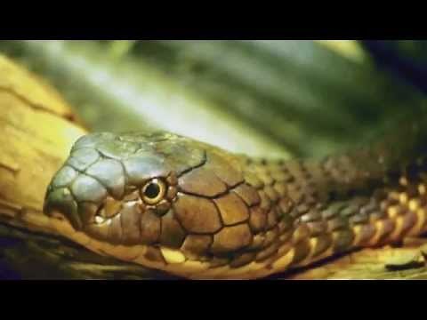 Matthew 10:16 Bible teaching