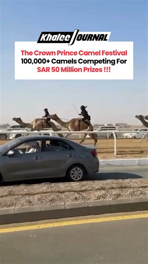 The Crown Prince Camel Festival in Taif, Saudi Arabia, is creating a buzz with over 100,000 camels competing for prizes worth more than SAR 50 million. The week-long event brings together men and women from across countries, turning the desert tracks into a celebration of culture, tradition, and thrilling races. This seventh edition highlights Saudi Arabia’s deep-rooted heritage on a global stage. Video Credit: @shouq_ll1 #CamelFestival #SaudiArabia #Taif #Heritage #Culture #CamelRace #MiddleEas