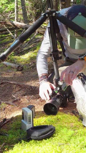 Fall Macro Photography in Canada Stunning Mushrooms & Focus Stacking Tips short 2