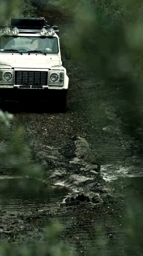 Ensure your vehicles are safeguarded! #autoinsurance #commercialautoinsurance #personalinsurance | First Light Insurance Group | Facebook