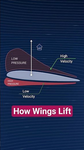 How Wings Lift an Airplane & How the Venturi Effect Works | Bernoulli’s Principle #engineering