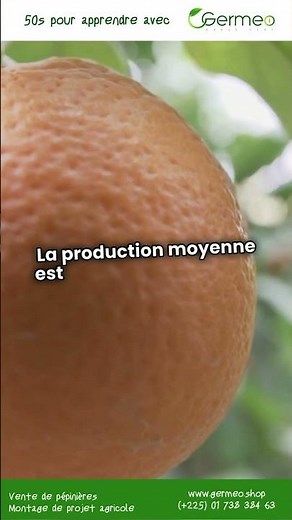 Comment cultiver le pamplemousse en Afrique de l’Ouest