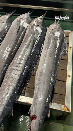 So many sailfish lined up at the fish market! 😱 #FreshCatch #SeafoodLovers #FishingWorld #ViralVideo | Food Adventure