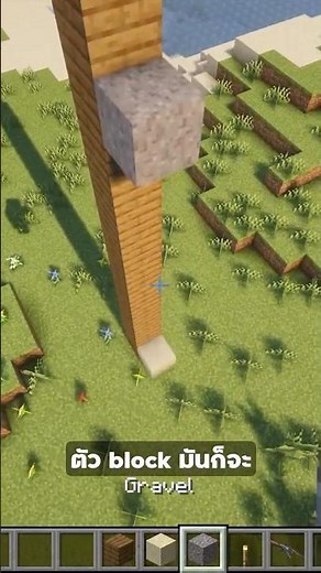 Sand over Torch but with Physics mod installed.