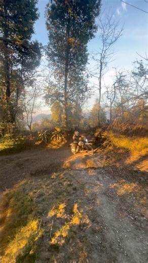 No Roads, Only Jungle | Himalayan 450 Off-Road #automobile #adventuremotorcycle #royalenfield