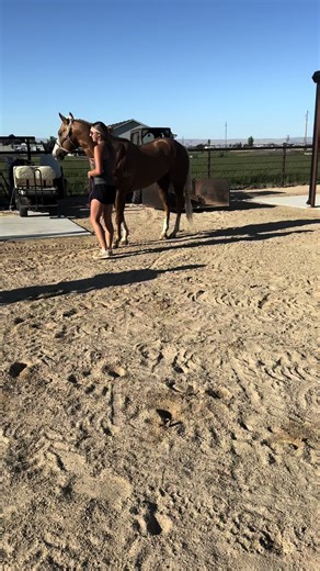 Recovery Insights After Cowboy Christmas for Adios