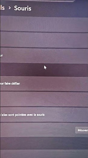 Windows cursor/mouse icon loading problem (need help)