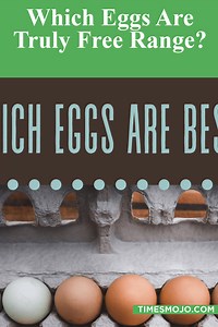 Which eggs are truly free range? - TimesMojo