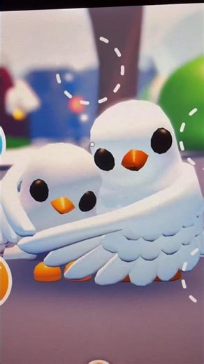 Turtle dove adopt me (so cute ❤️)