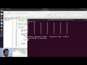 Arreglo Matriz (2 Dimensiones) - Diversos tamaños ; en C Estructurado