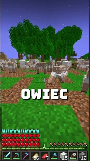 🍀This is the best way to make money🍀 #anarchiagg #minecraft #mc #poland #lifesteal