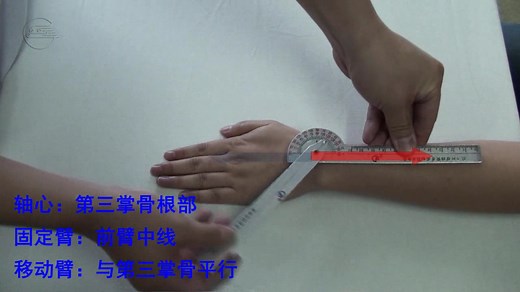 【搬运】上下肢ROM测定（康复功能评定）（关节活动度）