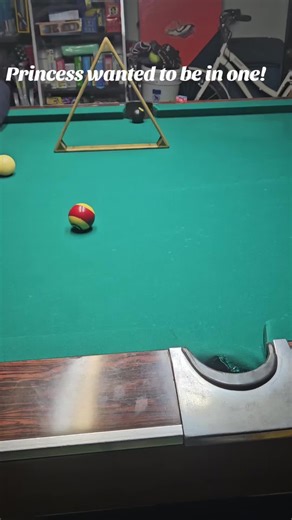 Mastering Billiards with Purposeful Trick Shots