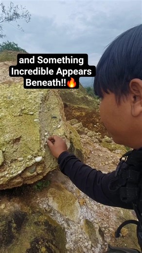A Small Rock Turned Over… and Something Incredible Appears Beneath