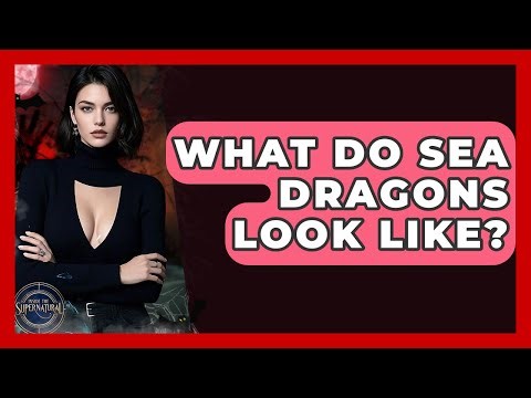 What Do Sea Dragons Look Like? - Inside the Supernatural
