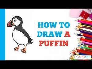 How to Draw a Puffin: Easy Step by Step Drawing Tutorial for Beginners