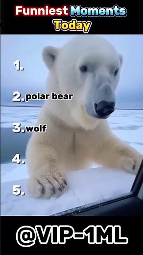 Best Moments of Today 🔥