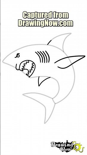 How to Draw a Shark Easy (Great White Shark Speed Drawing)