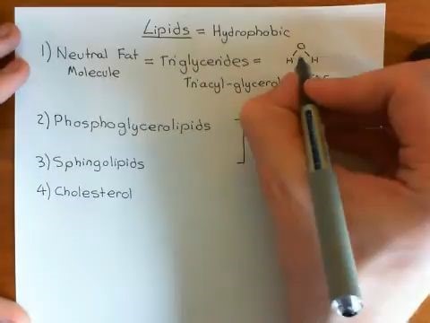 【生物化学 | 脂质】Introduction to Lipids Part 1