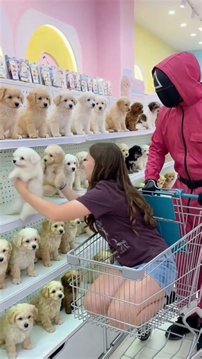 She wanted all the puppies 🐶💛