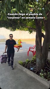 79K views · 1.7K reactions | Ya ni pa que toco | El Pollo | Facebook