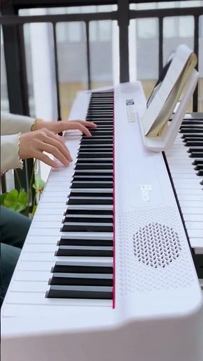Đàn Piano Gấp Bora BX-40 (BX-40 Folding Piano)