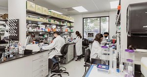 Willow Biosciences CEO confident in future after record revenue and new partnerships - ICYMI