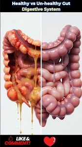 #DigestiveSystem #HumanAnatomy #EducationalVideo