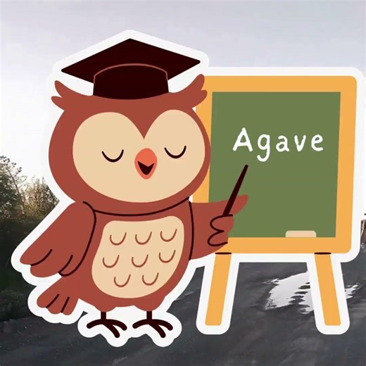 David discusses the Pepper Tree and the Agave