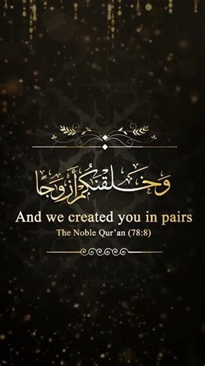 WhatsApp Invitation | Special Offer: Muslim Wedding Video #113 @ ₹699 WhatsApp +91 7204222786