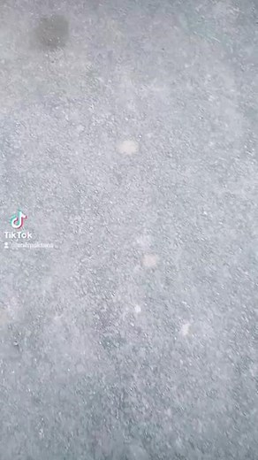 Traditional Saree Walk: A Glimpse of Cultural Beauty