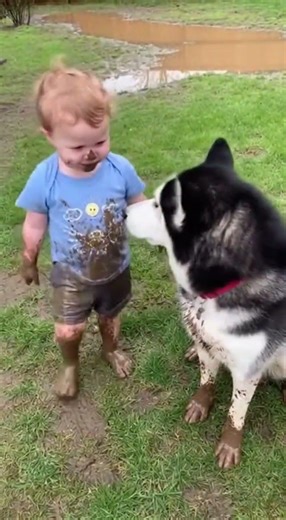 🤣🐶 Dog Blames, Baby Explodes