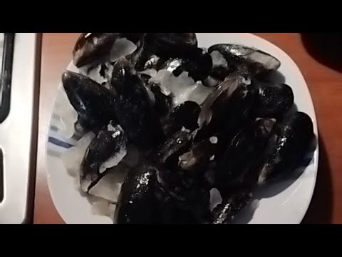 Stasera pasta alle cozze