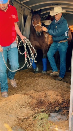 First Down Dash (@carrilfirstdowndash)’s videos with original sound - First Down Dash