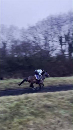 Racehorse With Thunder in His Chest
