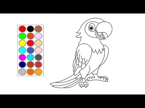 como dibujar y colorear a una linda guacamaya , dibujos para niños