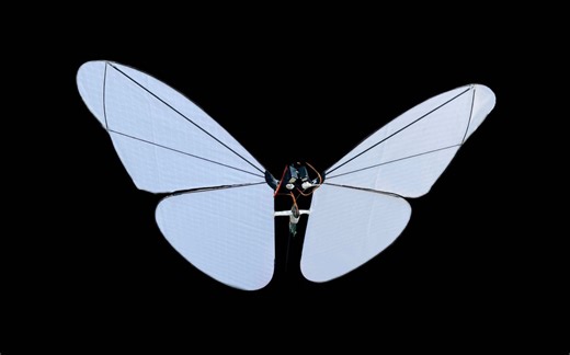 【自制】我做了一只真的可以飞的仿生蝴蝶