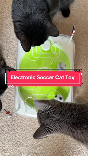 If you’re looking for a fun way to keep your cat active, the Electronic Soccer Cat Toy is a must-have for cat owners. This entertaining toy rolls and moves around like a mini soccer ball, encouraging your cat to chase, pounce, and play. It’s one of those interactive toys for cats that helps keep them mentally stimulated and physically active throughout the day. Perfect for indoor cats, it provides entertainment even when you’re busy or away. Watching your cat bat it across the floor turns playti